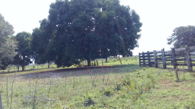 Fazenda de 138 alqs. na região de Dois Irmãos - Foto 2