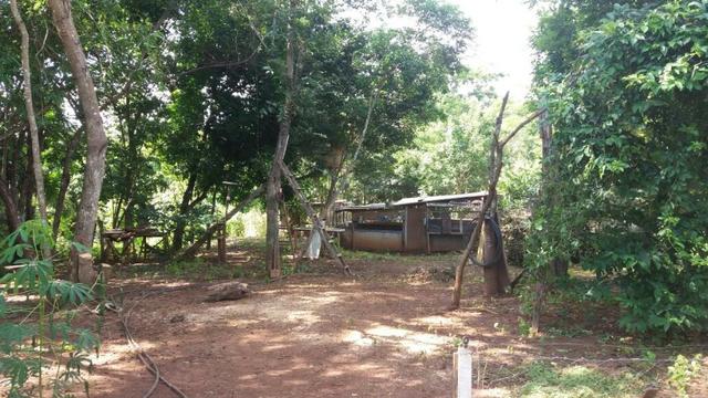 Chácara casa de campo, lazer e pescaria. 5.000m2, beira do rio Turvo (Turvania) - Foto 7