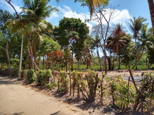 Lotes/Terrenos - Fragoso- Olinda - Foto 16
