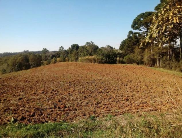 Chácara em campo magro - Foto 6