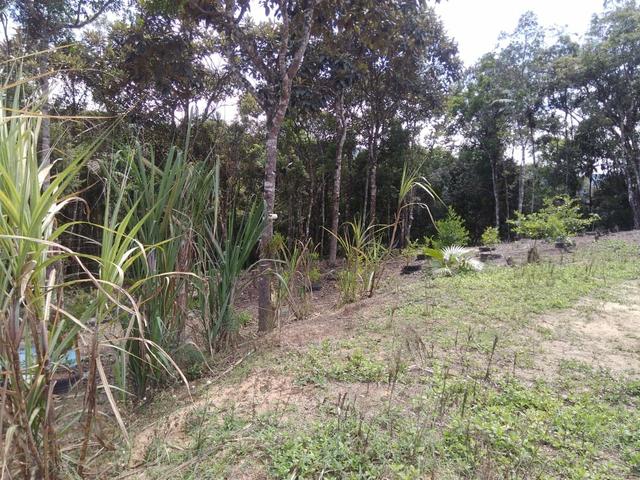 Terreno em Águas Mornas Fazenda do Sacramento II - Foto 3