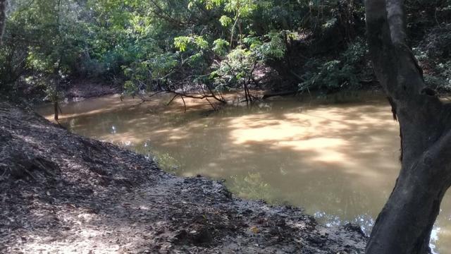 Fazenda de 138 alqs. na região de Dois Irmãos - Foto 3