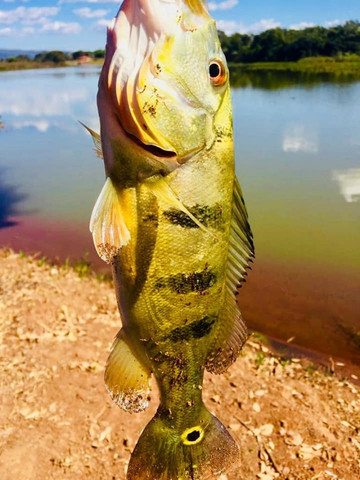 Condomínio de Lazer e Pesca Portal do lago - Foto 3