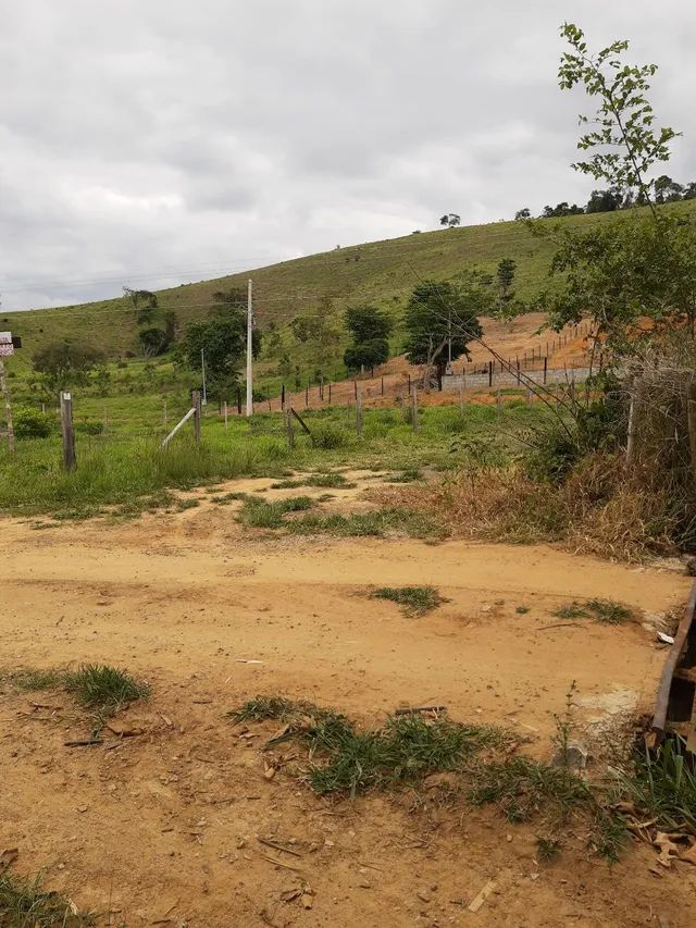 GRANJA 1500m2 C/Energia - Foto 5