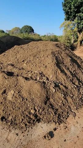 Esterco de Gado confinado (ton)