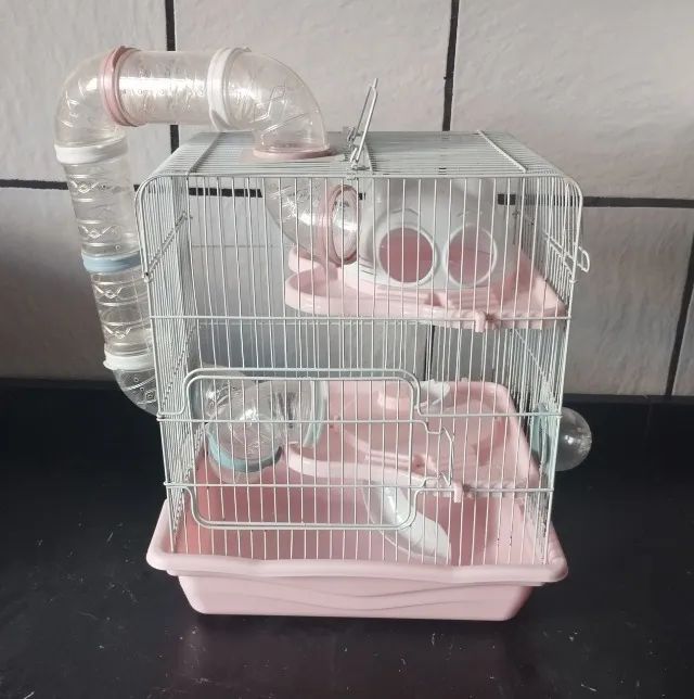 Gaiola média para hamster 