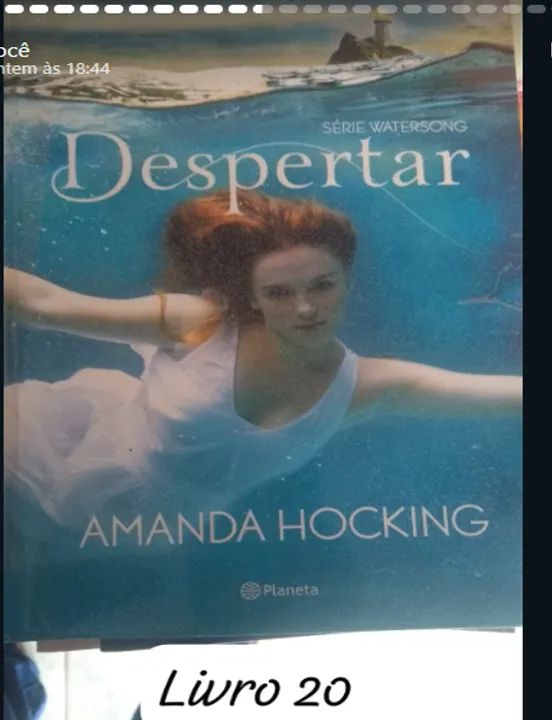 livro Despertar Amanda Hocking