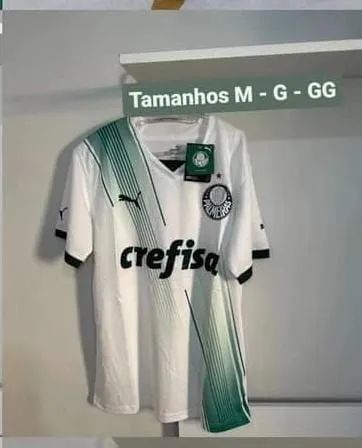 Camisa Palmeiras Branca 2023 - Foto 4
