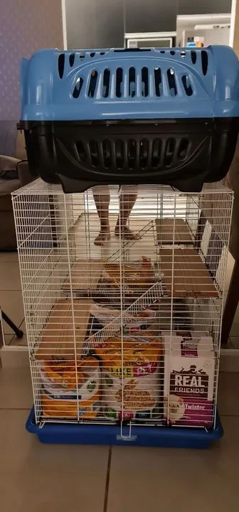 Kit com gaiola para roedores - Foto 2