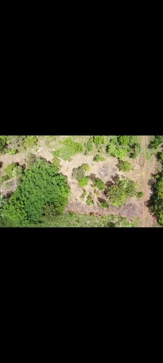 Chácara com 1000m2 na saída para Lajeado - Foto 15