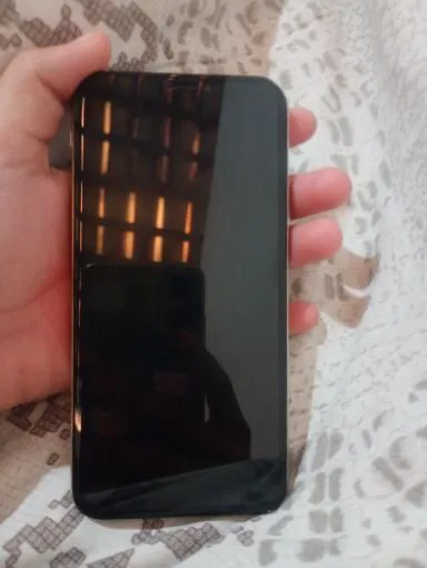 Vendo iPhone X valor 600 chamar no zap *