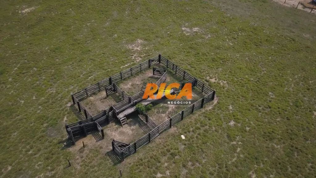 Excelente fazenda à venda, com 100 hectares na Área Rural de Porto Velho/RO - Foto 4