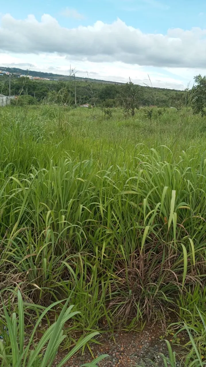 Terreno com área verde em ótima localização