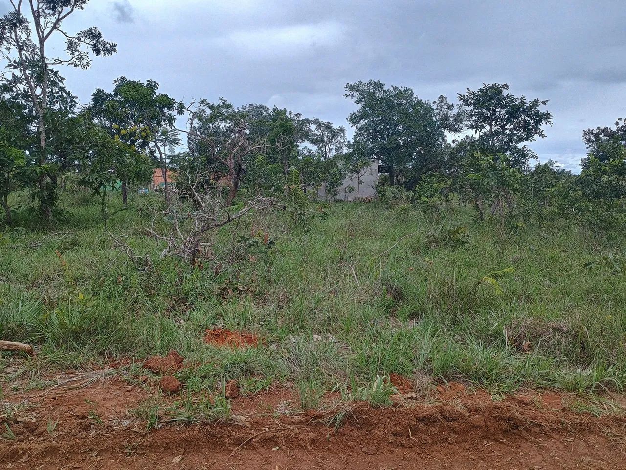 foto - Brasília - Arapoanga