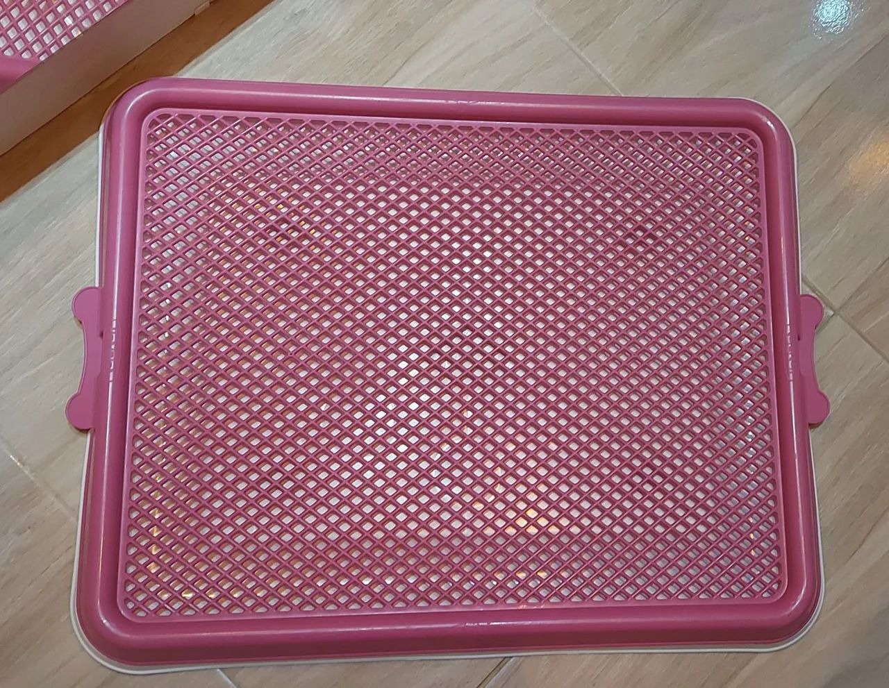 Bandeja sanitário higiênico para pet