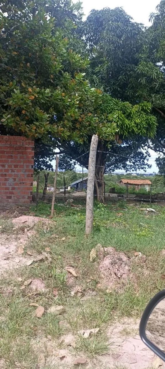 Terreno bem localizado no Planalto Uruguai  - Foto 2