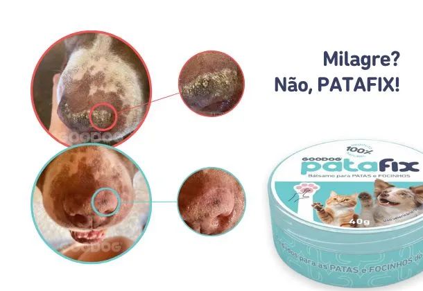 Patafix Hidratante Para Pets - Foto 2