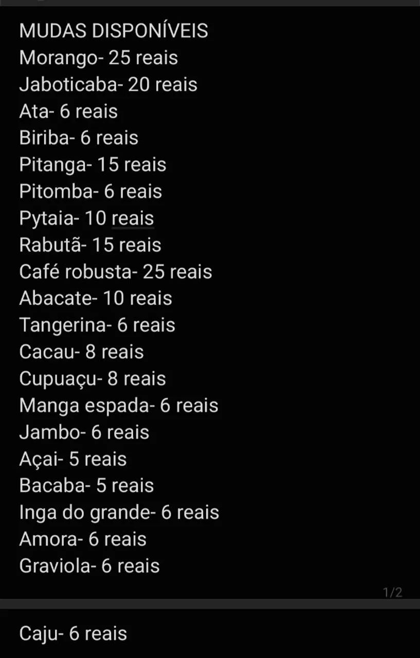 Mudas de plantas frutíferas  - Foto 4