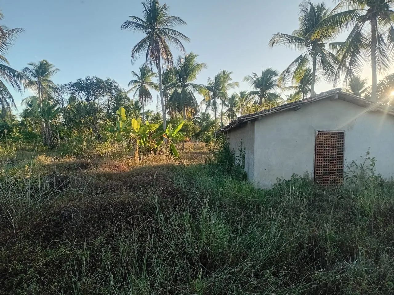Sítio em Acajutiba interior da Bahia - Foto 3