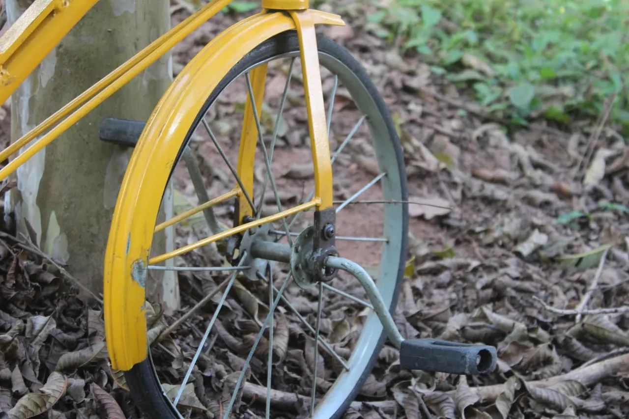 Velocípede antigo/ Bicicleta antiga/ Triciclo antigo - Foto 3