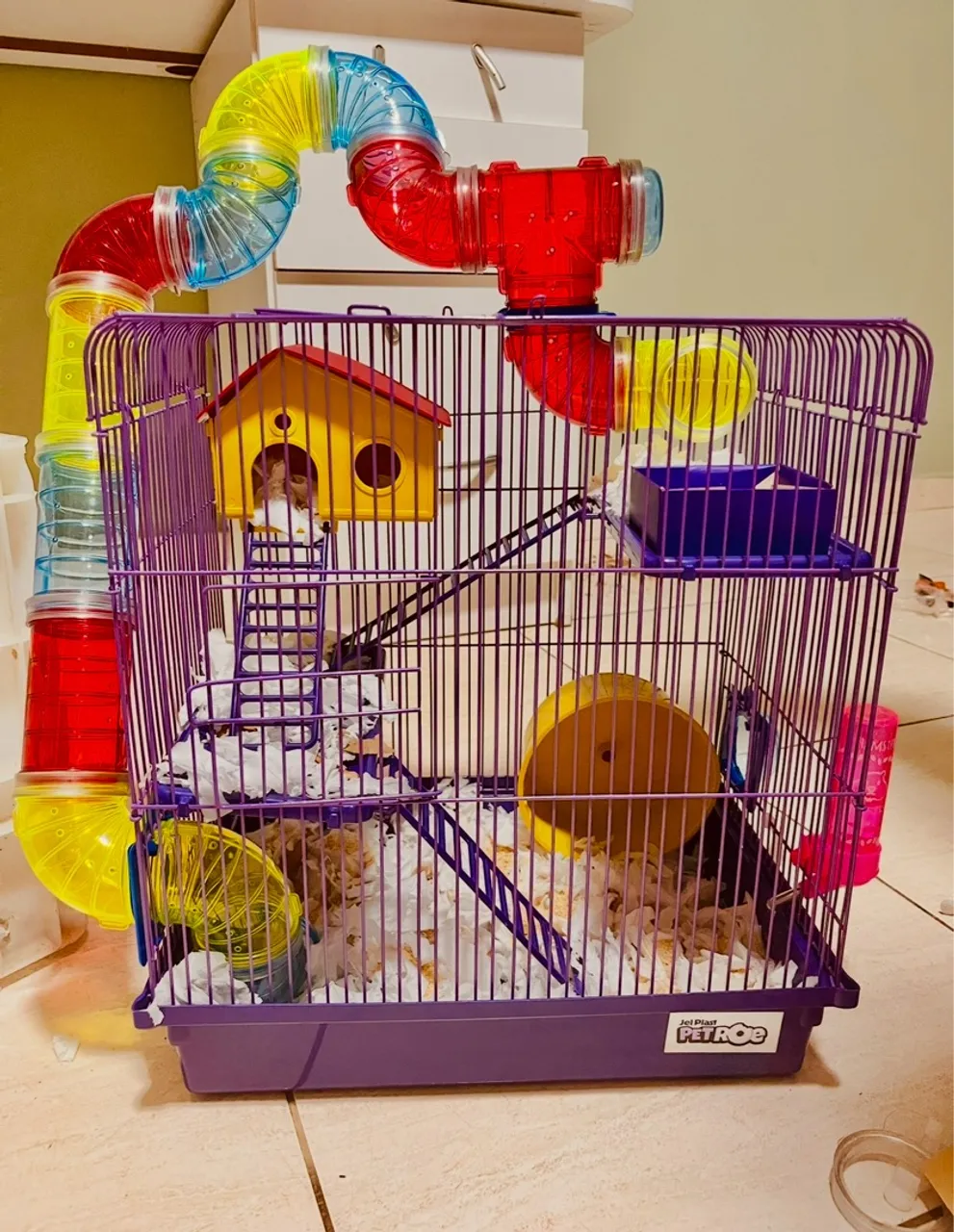 Vendo hamster anão