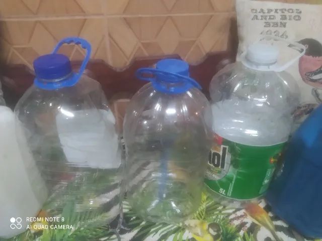Bombonas ou Galões de 5 litros - Foto 4