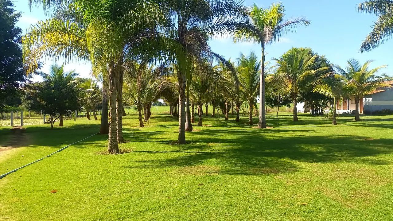 3 alqueires em Itaberaí  - Foto 4