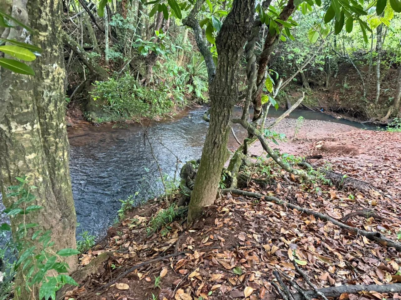 Terreno com cachoeira em florestal  - Foto 4