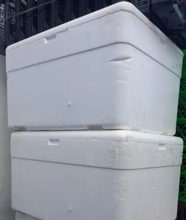 Caixa de Isopor para Transporte de Produtos