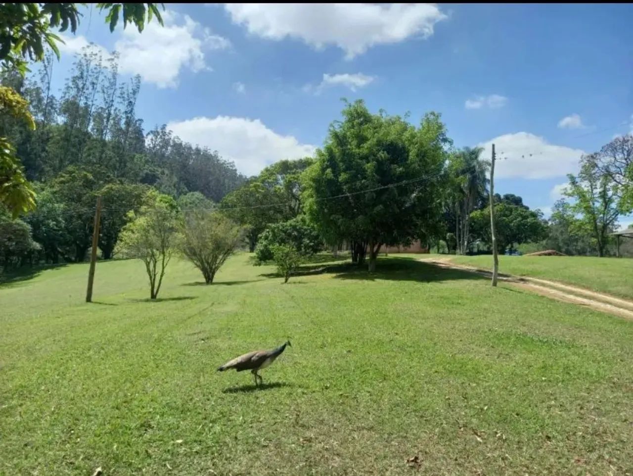 "Realize seu sonho de construir: terrenos em Alumínio à venda!" - Foto 2