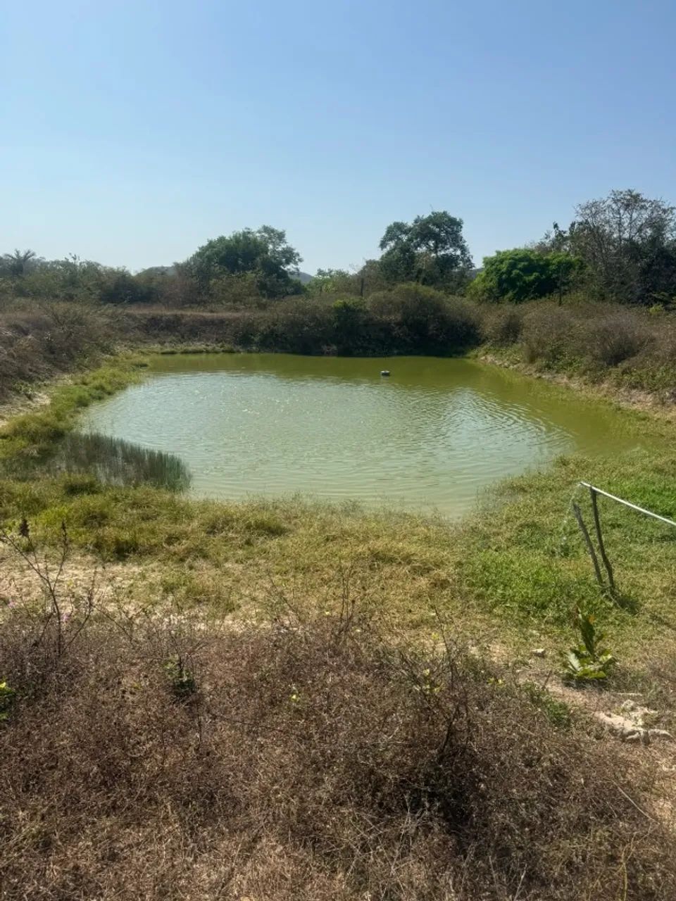 Fazenda em Altos/PI - Foto 3