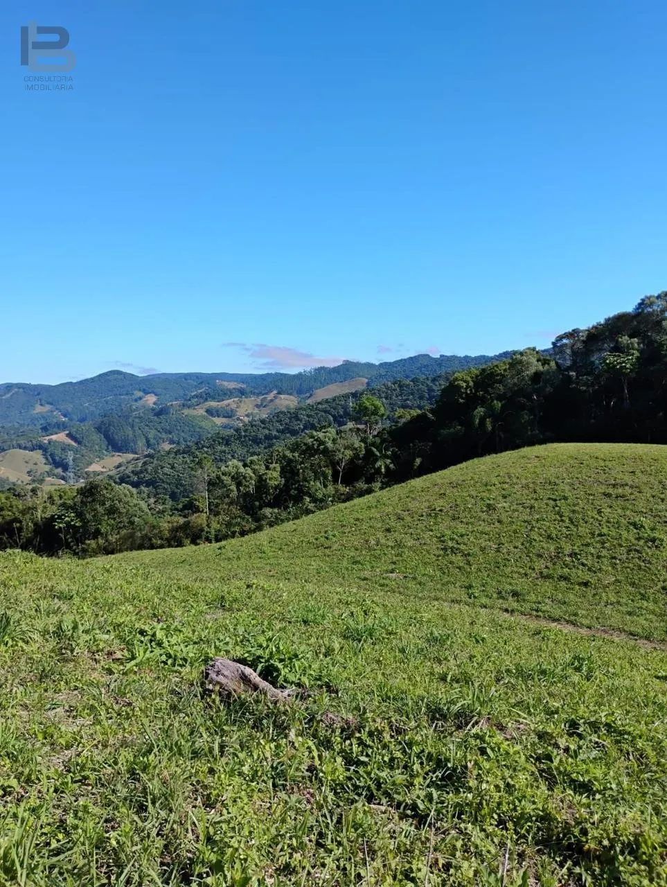 Área à venda em Santo Amaro da Imperatriz - Foto 5