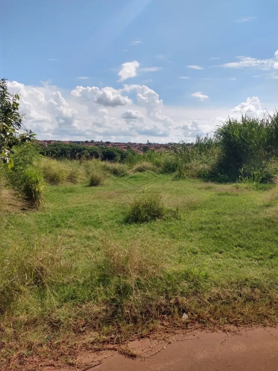 JARDIM CONQUISTA-IGARAÇU DO TIETÊ/SP - Foto 3