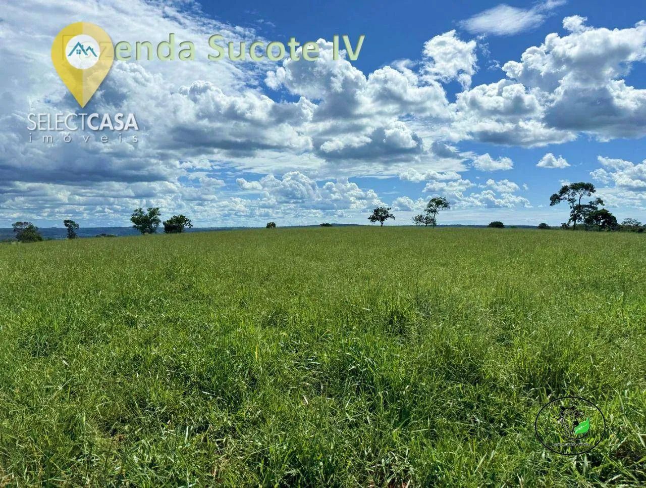 Fazenda em Campina Verde/MG - Foto 5