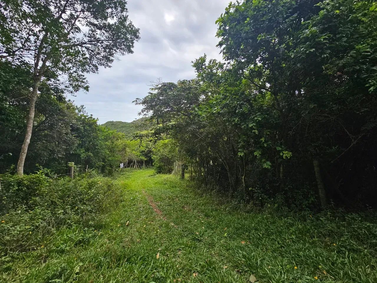 Imóvel para venda com 5200 metros quadrados com 1 quarto em Ferrugem - Garopaba - SC - Foto 2