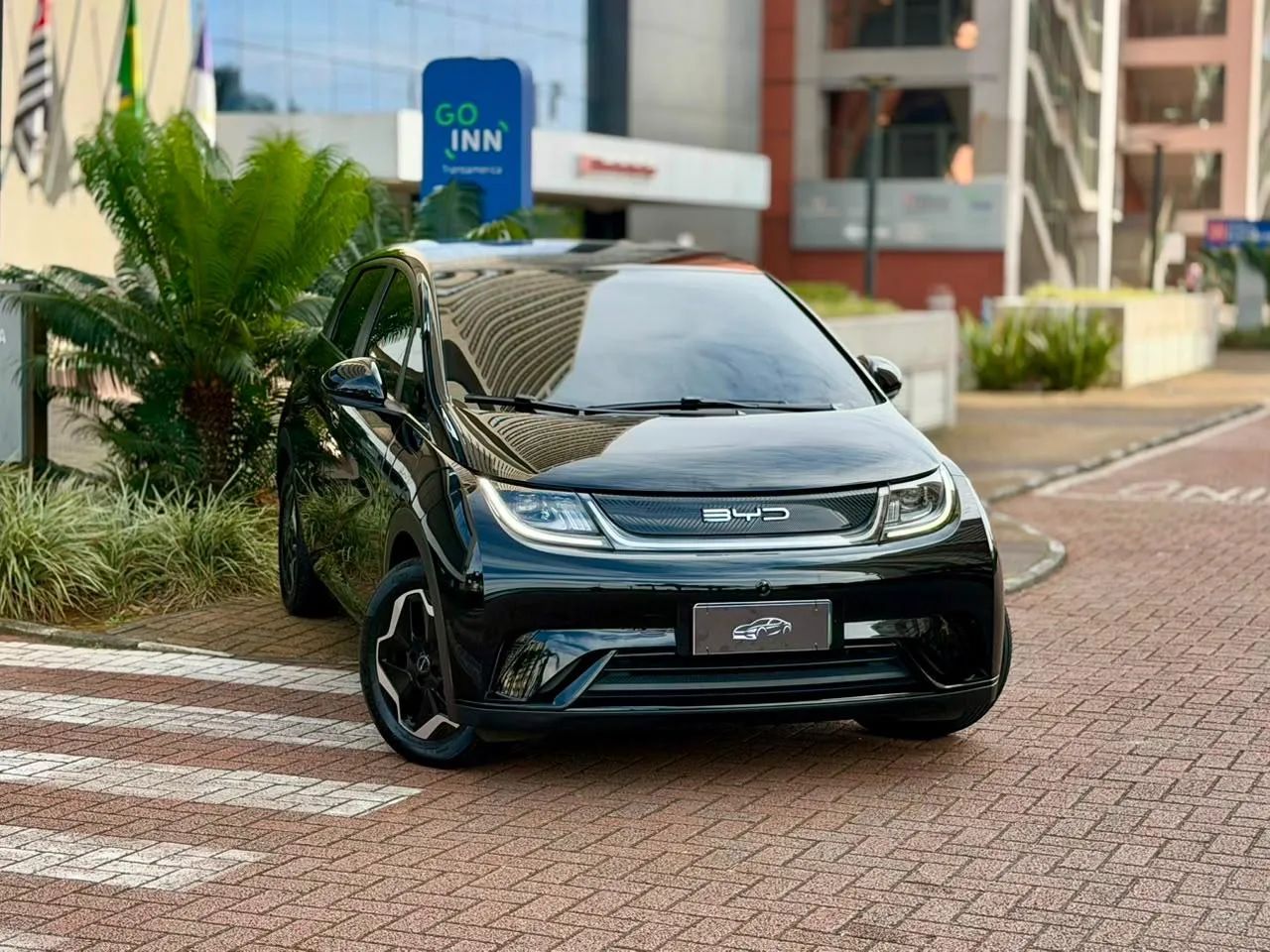 BYD Dolphin EV (Elétrico) 2024 - Foto 3
