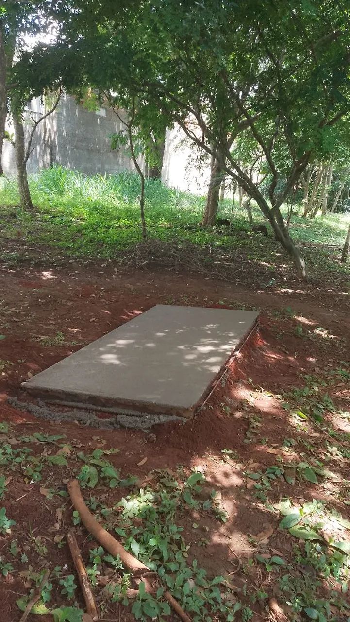 Manutenções em jardim podas de grama e plantios. - Foto 4