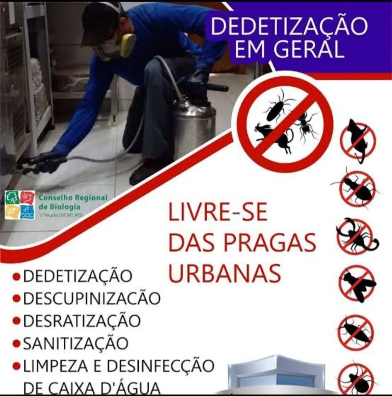 Vendo: Dedetização proficional  - Foto 2