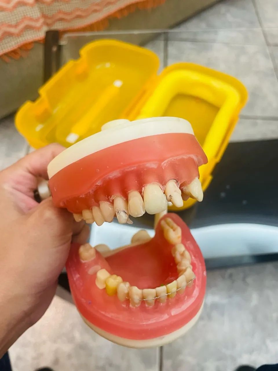 Manequim Odontológico  - Foto 4