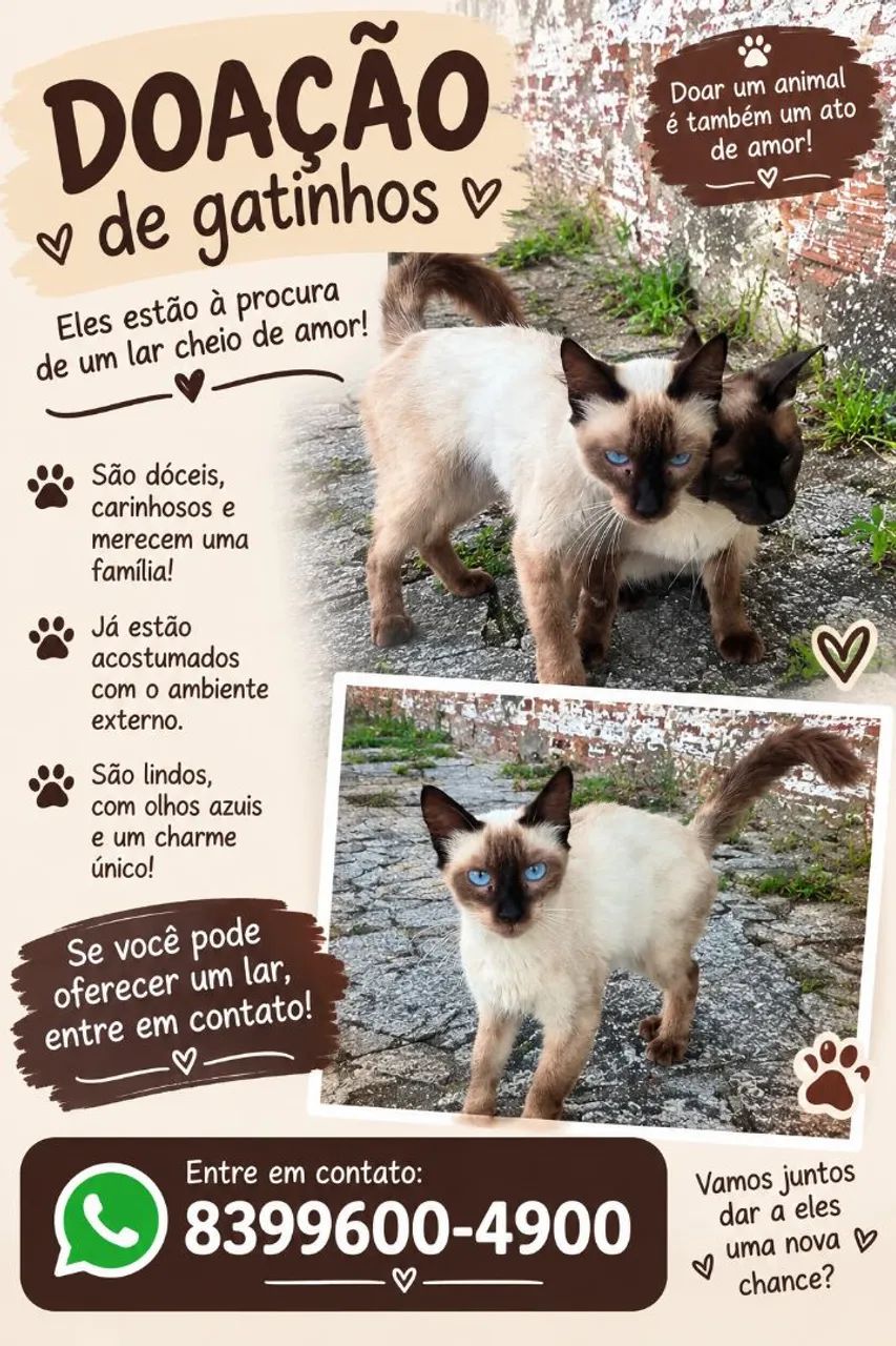 Adoção 