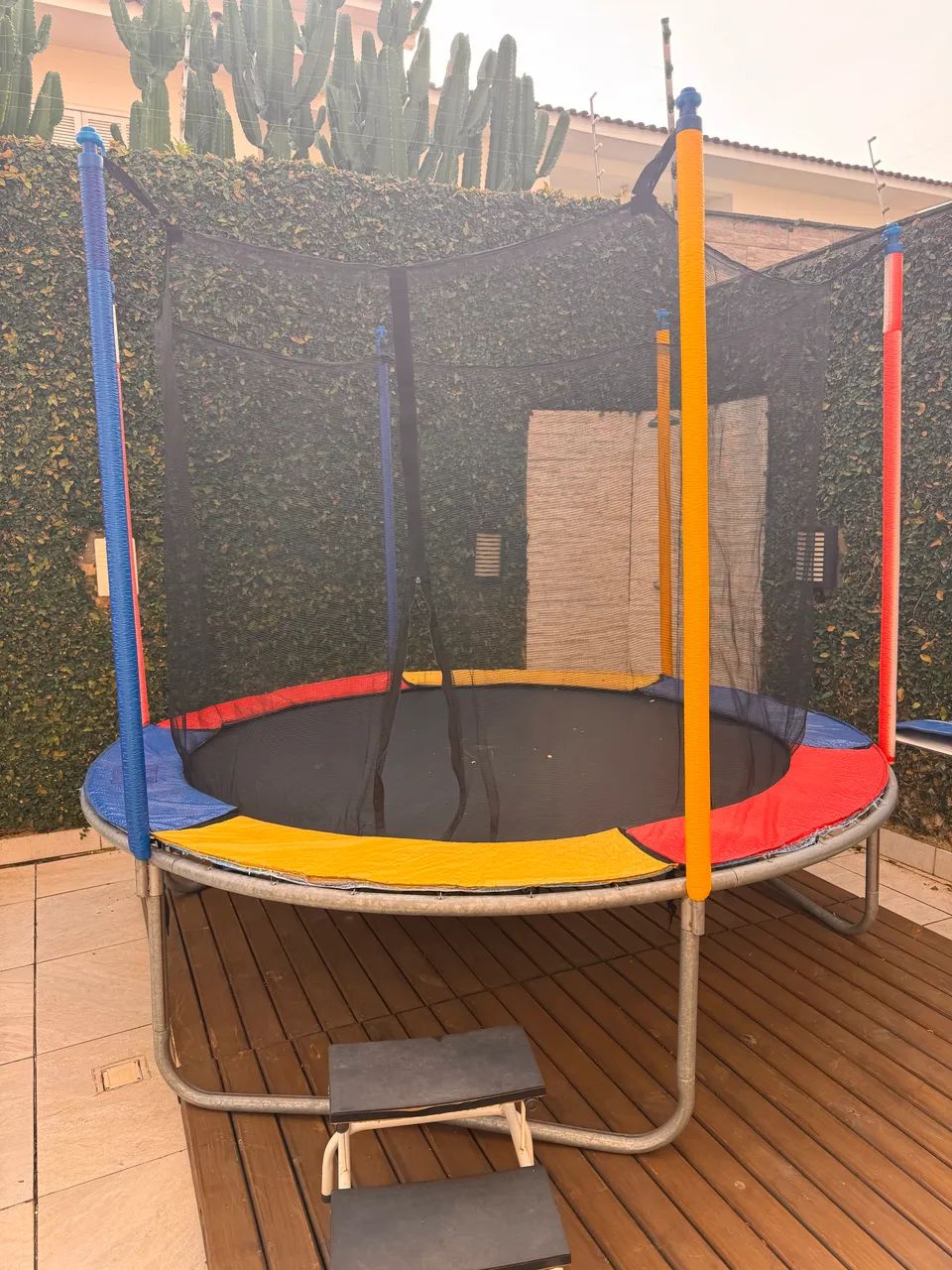 Pula pula 2,50