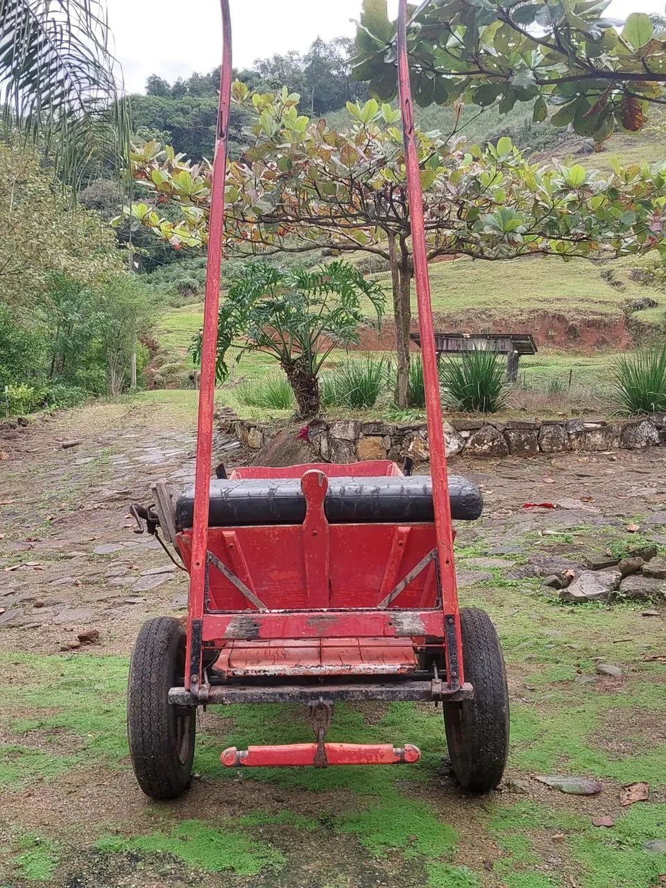 Carroça a venda - Foto 3