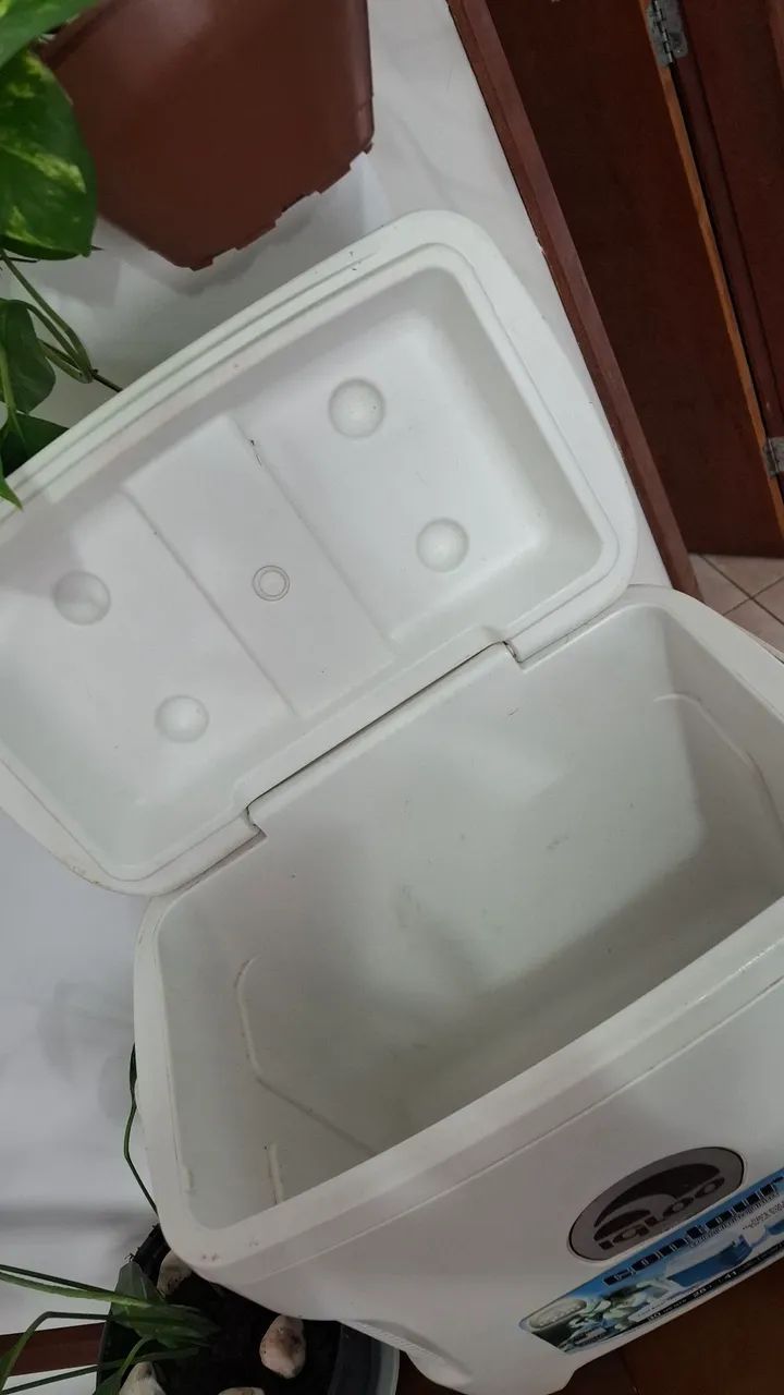 Cooler Igloo 28L