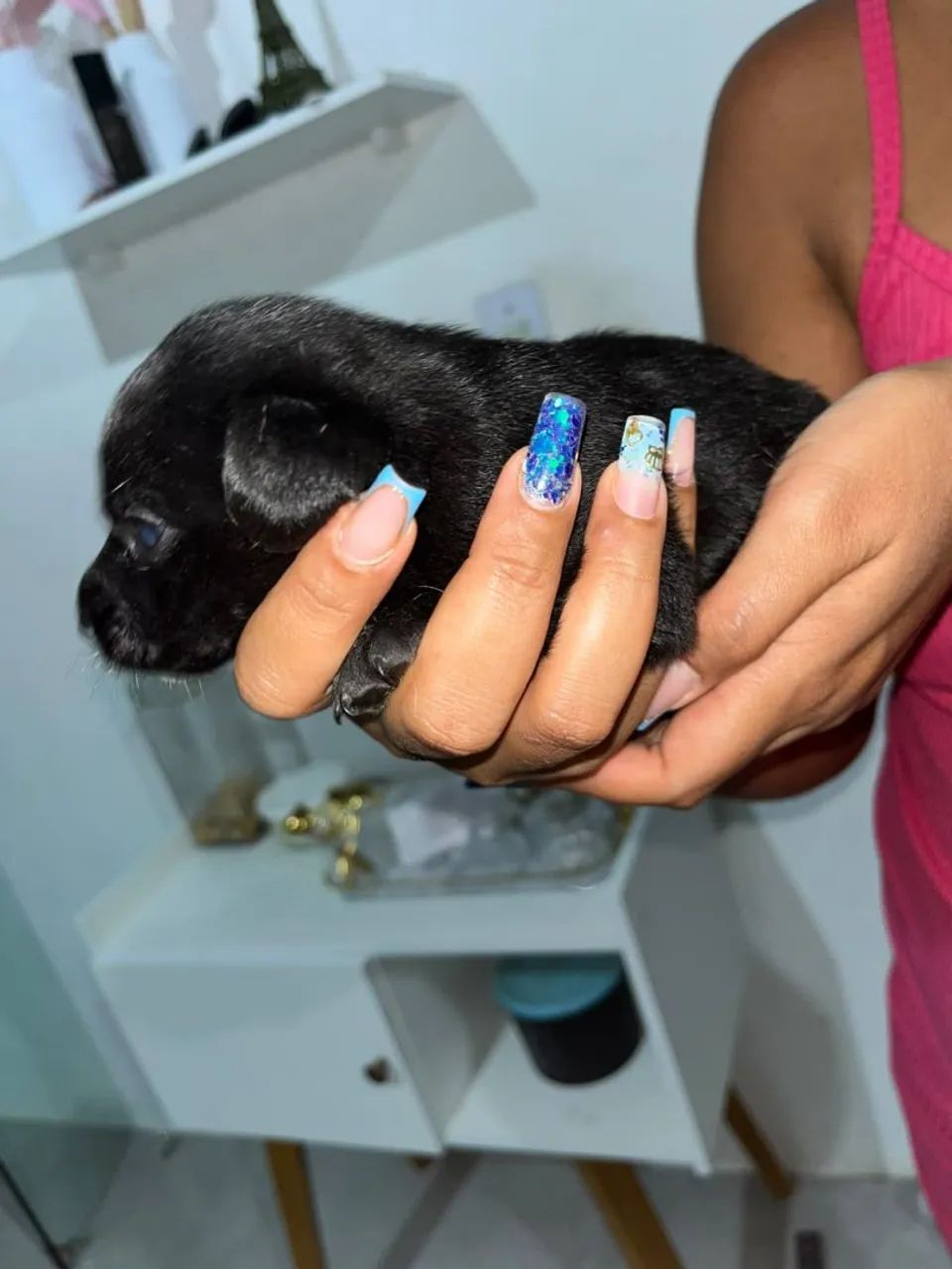 Vendo pinscher Tam.1 - Foto 4