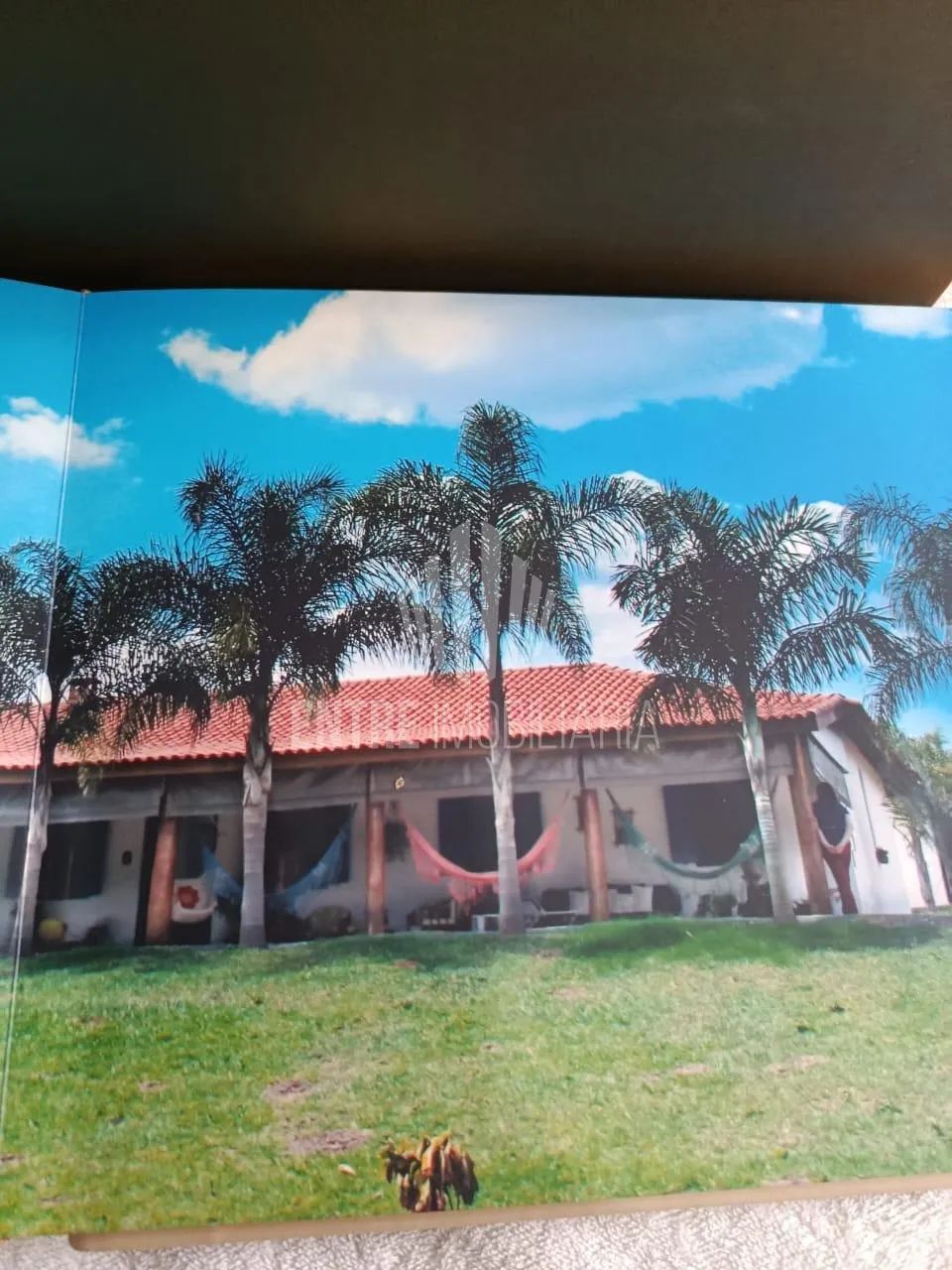 Sítio a venda em Quadra SP - Foto 5