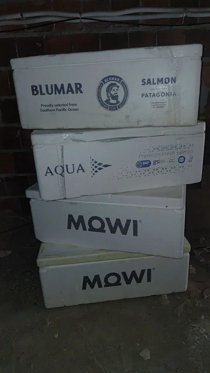 Caixa térmica de Isopor