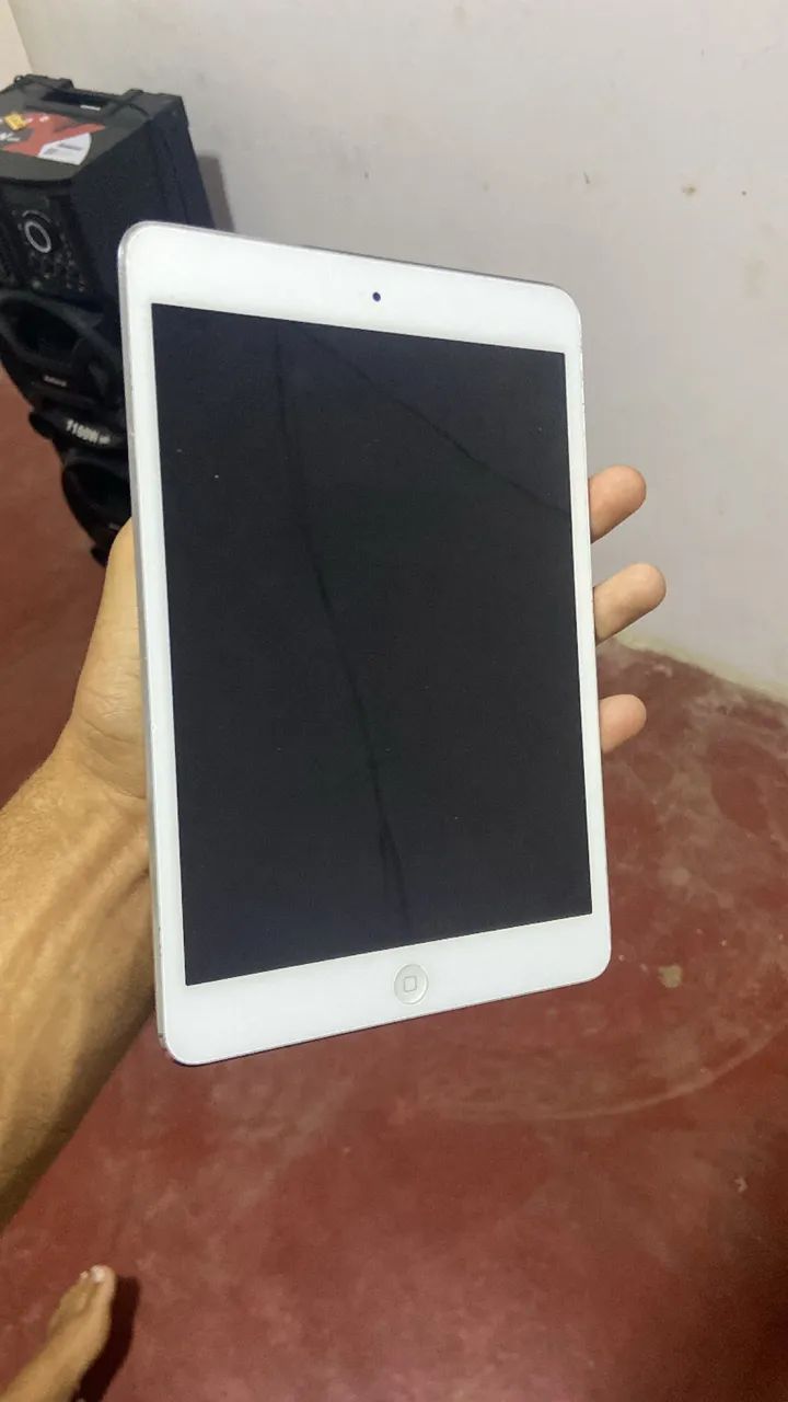 iPad mini 2