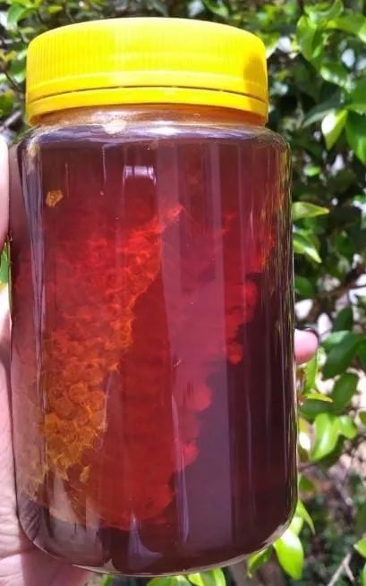 Vendo Mel Puro Natural com Favo ? - Foto 3