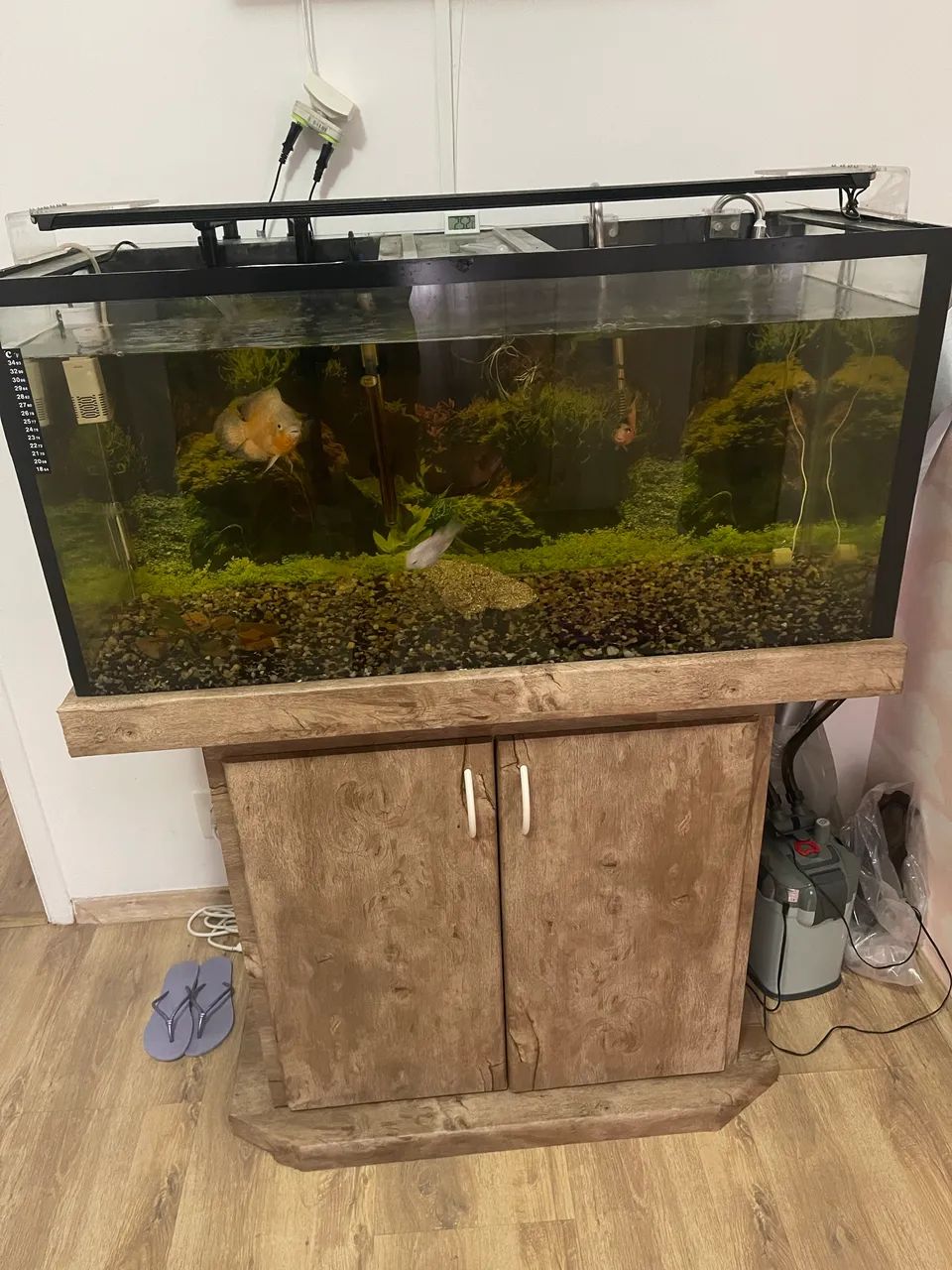 Aquário 200 litros completo 