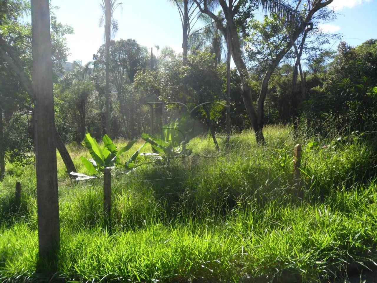 Terrenos Padrão em Poços de Caldas - Foto 2